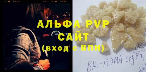 крисы Бородино