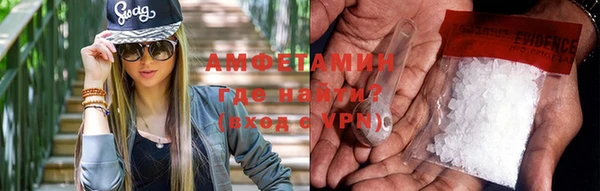 крисы Бородино