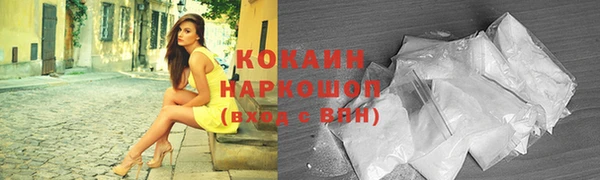 крисы Бородино