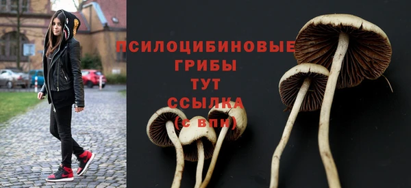 крисы Бородино