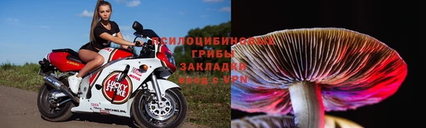 мескалин Бронницы