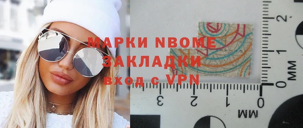 крисы Бородино