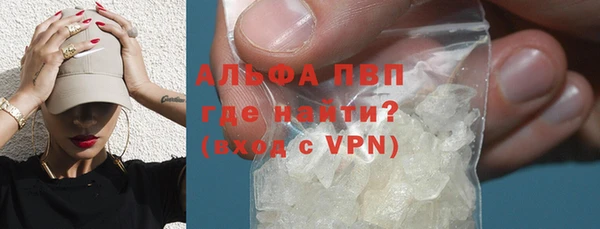 крисы Бородино