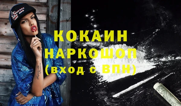 крисы Бородино