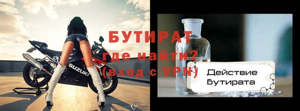 крисы Бородино