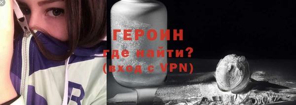 крисы Бородино
