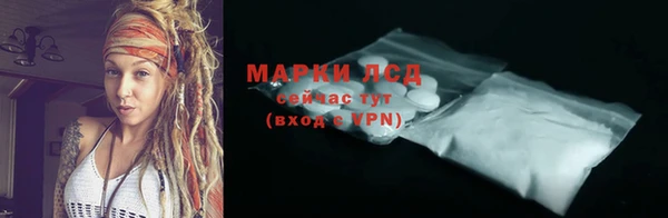 крисы Бородино