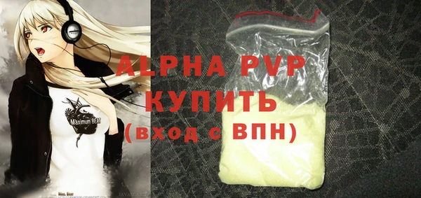 крисы Бородино