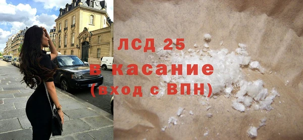 крисы Бородино