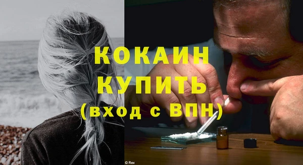 крисы Бородино