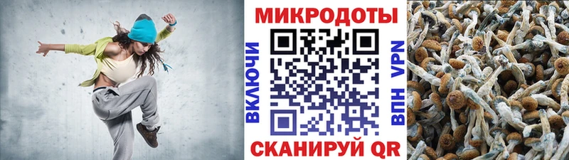 Купить закладки  Малмыж  Псилоцибиновые грибы мухоморы 